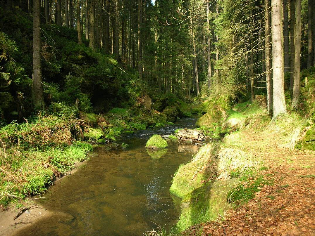 Okolí – NP České Švýcarsko